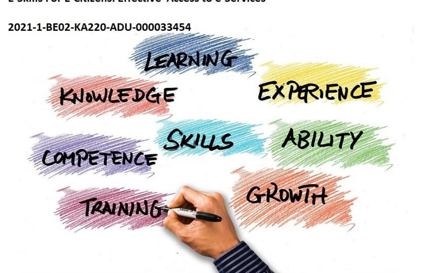 E-Skills For E-Citizens: Effective Access to e-Services